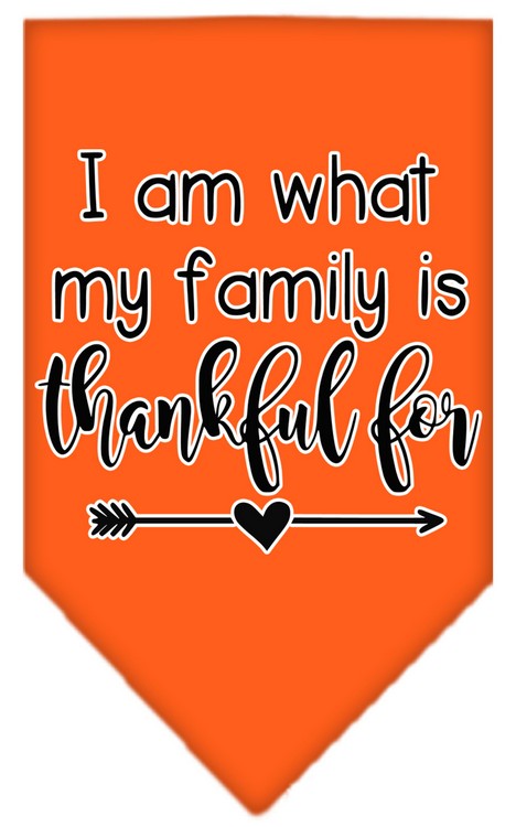 I Am What My Family is Thankful For Screen Print Bandana Orange Large